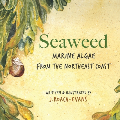 Seaweed: Marine Algae from the Northeast Coast - Erin M. Oliveira