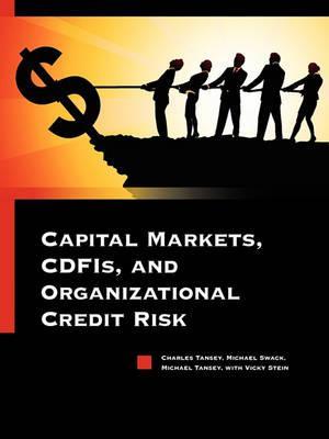 Capital Markets, CDFIs, and Organizational Credit Risk - Charles Tansey