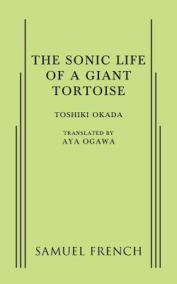 A Sonic Life of a Giant Tortoise - Toshiki Okada