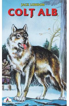Colt Alb - Jack London