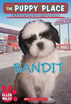 The Puppy Place #24: Bandit - Ellen Miles