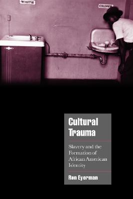 Cultural Trauma: Slavery and the Formation of African American Identity - Ron Eyerman