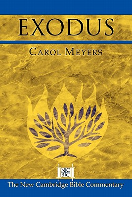 Exodus - Carol Meyers