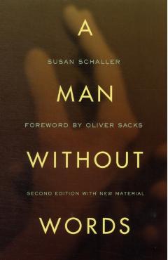 A Man Without Words - Susan Schaller