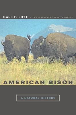 Coperta cărții 'American Bison: A Natural History - Dale F. Lott'