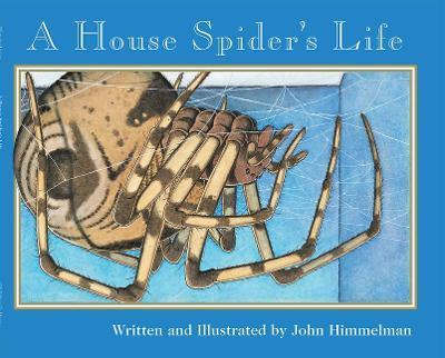 A House Spider's Life (Nature Upclose) - John Himmelman
