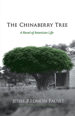 The Chinaberry Tree: A Novel of American Life - Jessie Redmon Fauset
