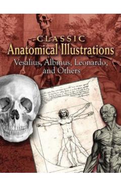 Classic Anatomical Illustrations: Vesalius, Albinus, Leonardo and Others - Vesalius