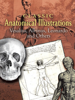 Classic Anatomical Illustrations: Vesalius, Albinus, Leonardo and Others - Vesalius