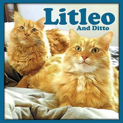 Litleo And Ditto - Linda Deane