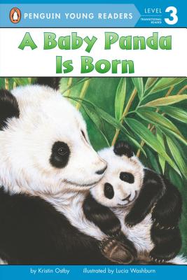 A Baby Panda Is Born - Kristin Ostby