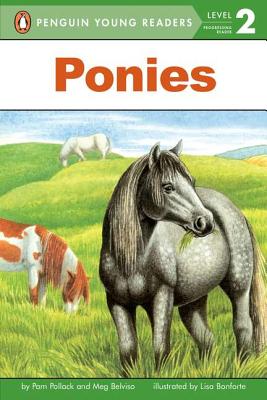 Ponies - Pam Pollack