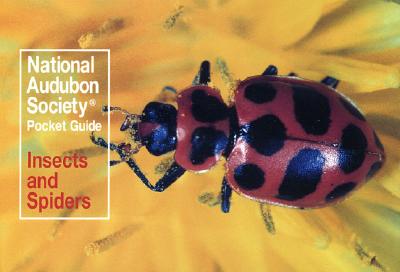 National Audubon Society Pocket Guide: Insects and Spiders - National Audubon Society
