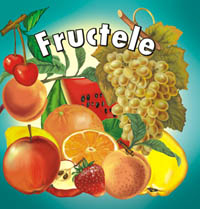 Coperta cărții 'Fructele'