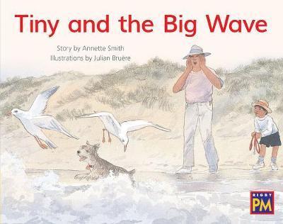 Tiny and the Big Wave: Leveled Reader Yellow Fiction Level 8 Grade 1 - Hmh Hmh