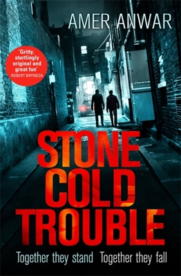 Stone Cold Trouble - Amer Anwar