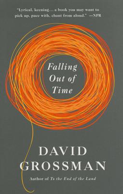 Falling Out of Time - David Grossman