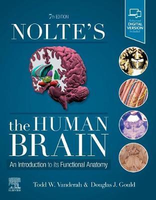 Nolte's the Human Brain: An Introduction to Its Functional Anatomy - Todd W. Vanderah