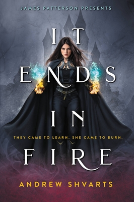 It Ends in Fire - Andrew Shvarts