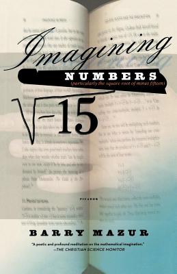 Imagining Numbers - Barry Mazur