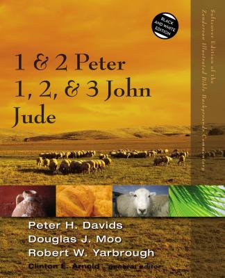1 and 2 Peter, Jude, 1, 2, and 3 John - Peter H. Davids