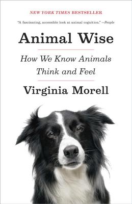 Coperta cărții 'Animal Wise: How We Know Animals Think and Feel - Virginia Morell'