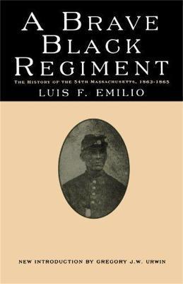 A Brave Black Regiment - Luis F. Emilio