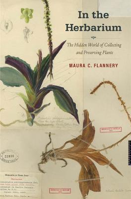 In the Herbarium: The Hidden World of Collecting and Preserving Plants - Maura C. Flannery