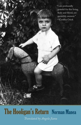 The Hooligan's Return - Norman Manea