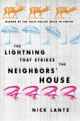 Lightning That Strikes the Neighbors' House - Nick Lantz
