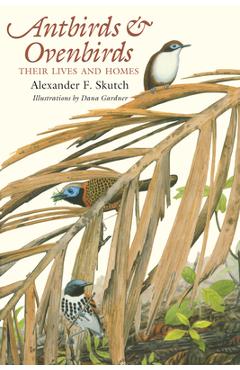 Coperta cărții 'Antbirds and Ovenbirds: Their Lives and Homes - Alexander F. Skutch'