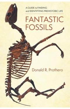 Fantastic Fossils: A Guide to Finding and Identifying Prehistoric Life -  