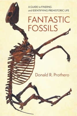 Fantastic Fossils: A Guide to Finding and Identifying Prehistoric Life - 