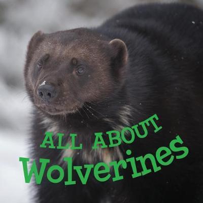 All about Wolverines: English Edition - Jordan Hoffman