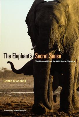 The Elephant's Secret Sense: The Hidden Life of the Wild Herds of Africa - Caitlin O'connell
