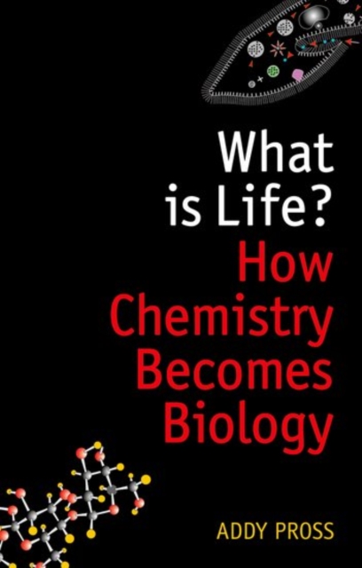 What Is Life?: How Chemistry Becomes Biology - Addy Pross