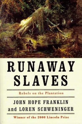 Runaway Slaves: Rebels on the Plantation - John Hope Franklin