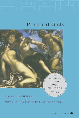 Practical Gods - Carl Dennis