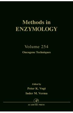 Poza produsului Oncogene Techniques: Volume 254 - John N. Abelson