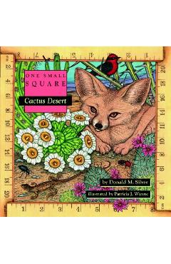 Coperta cărții 'Cactus Desert - Donald Silver'