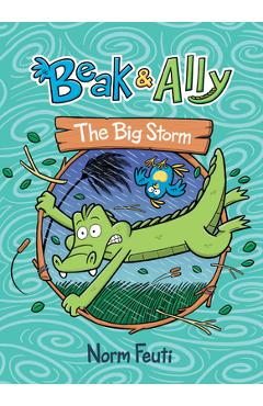 Coperta cărții 'Beak & Ally #3: The Big Storm - Norm Feuti'