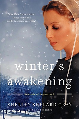 Winter's Awakening - Shelley Shepard Gray
