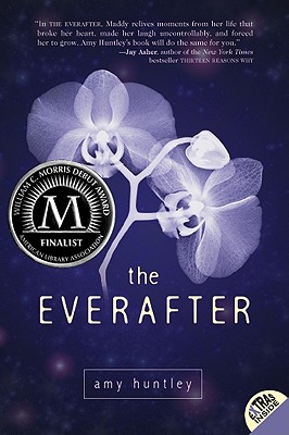 The Everafter - Amy Huntley