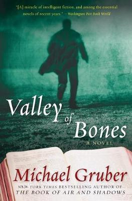 Valley of Bones - Michael Gruber