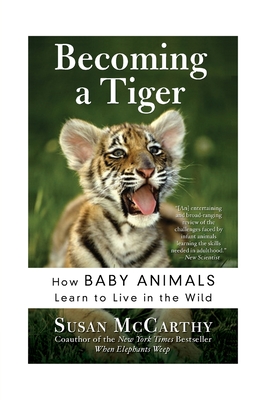 Becoming a Tiger: How Baby Animals Learn to Live in the Wild - Susan Mccarthy