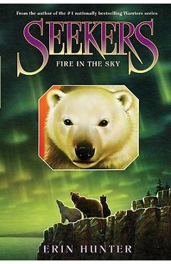 Seekers #5: Fire in the Sky