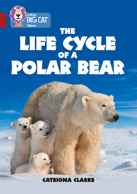 Collins Big Cat - The Life Cycle of a Polar Bear: Band 14/Ruby - Catronia Clarke