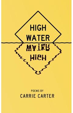 Coperta cărții 'High Water - Carrie Carter'