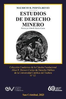 Estudios de Derecho Minero - Mauricio R. Perna-reyes