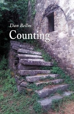 Counting - Dan Bellm